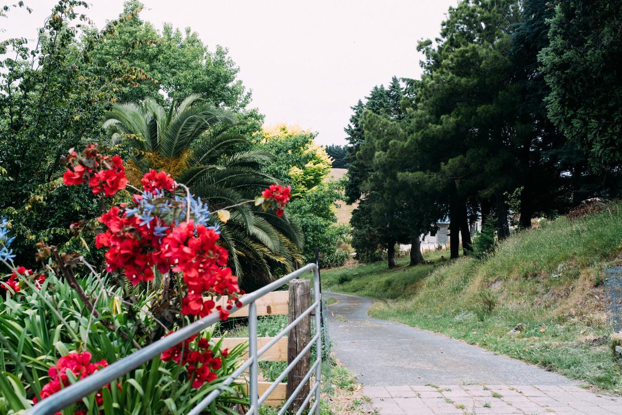 Seahurst Apartment Eskdale Dış mekan fotoğraf
